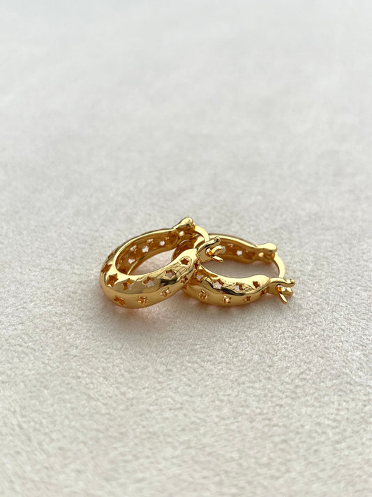 Hoa tai ôm sát Stary-night