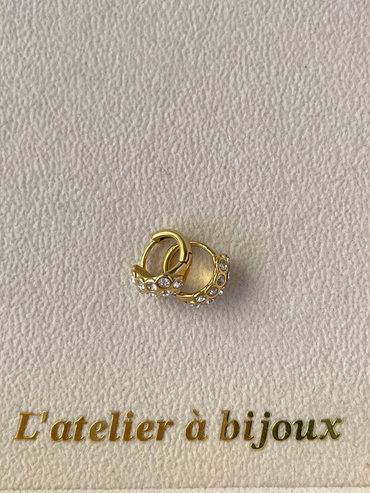 Hoa tai thép không gỉ Aero