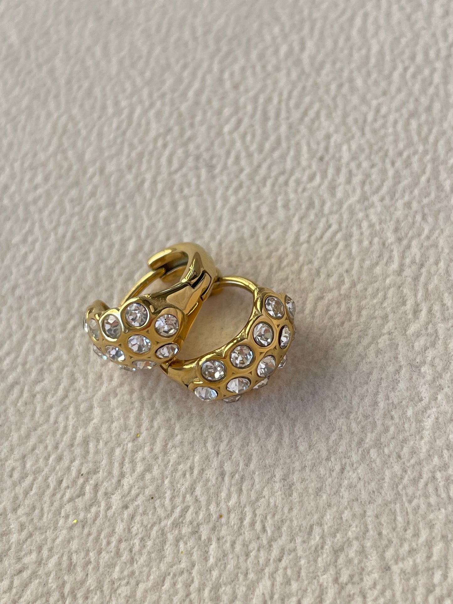 Hoa tai thép không gỉ Aero