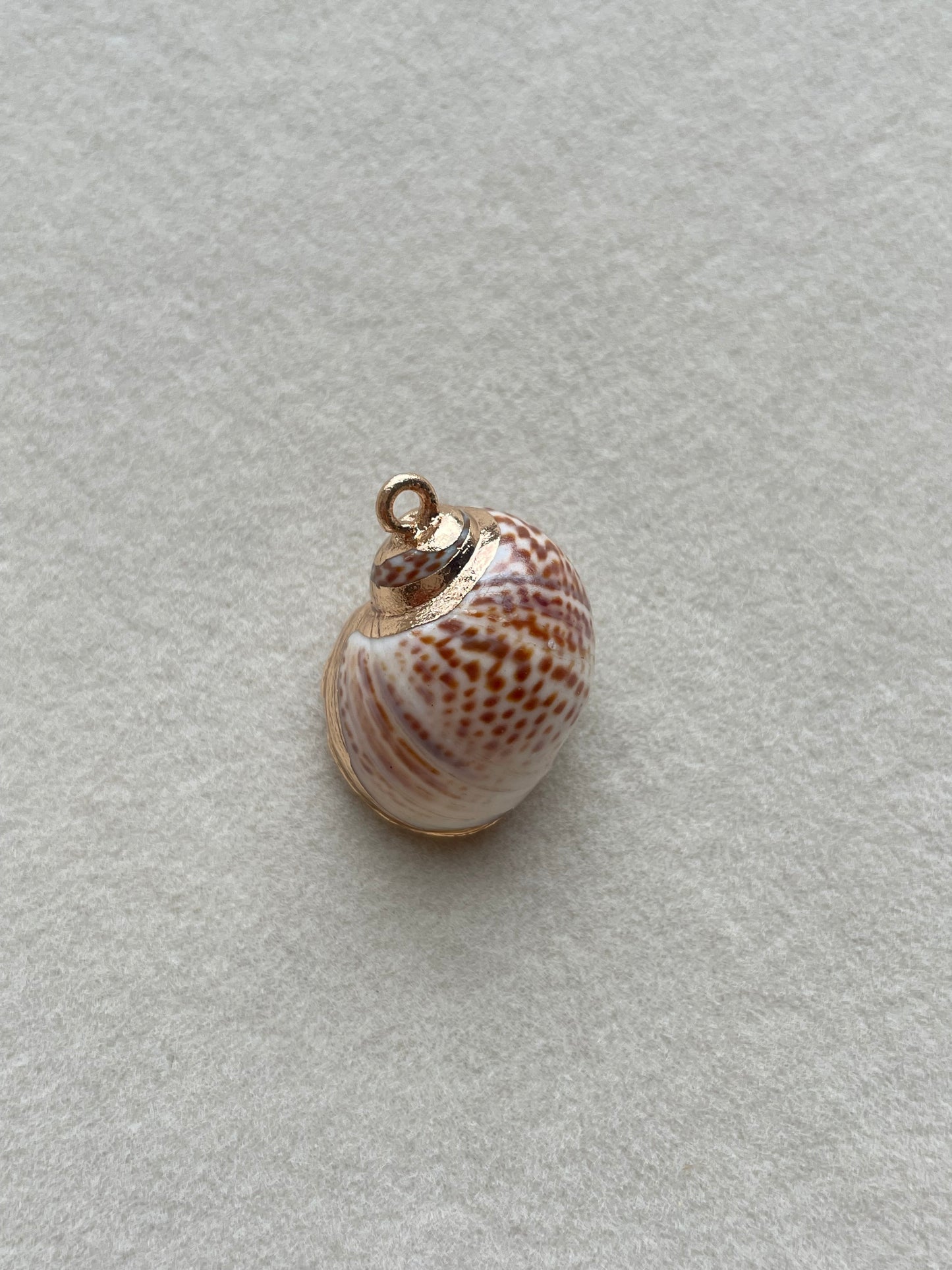 Charm collection (shells)