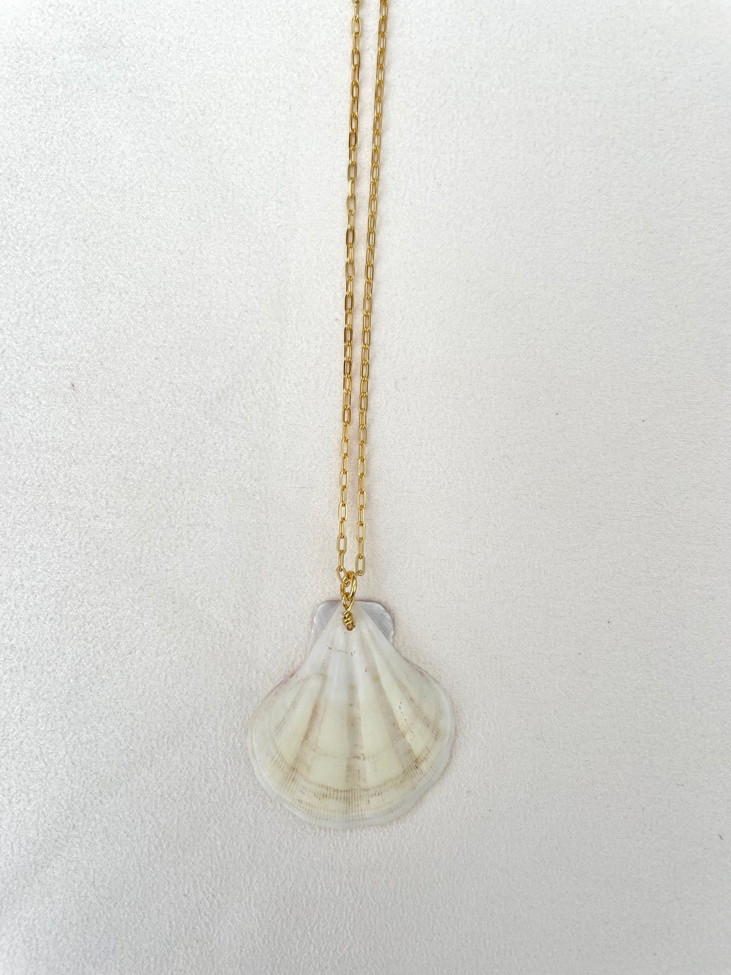 S925 chain with shell pendant necklace