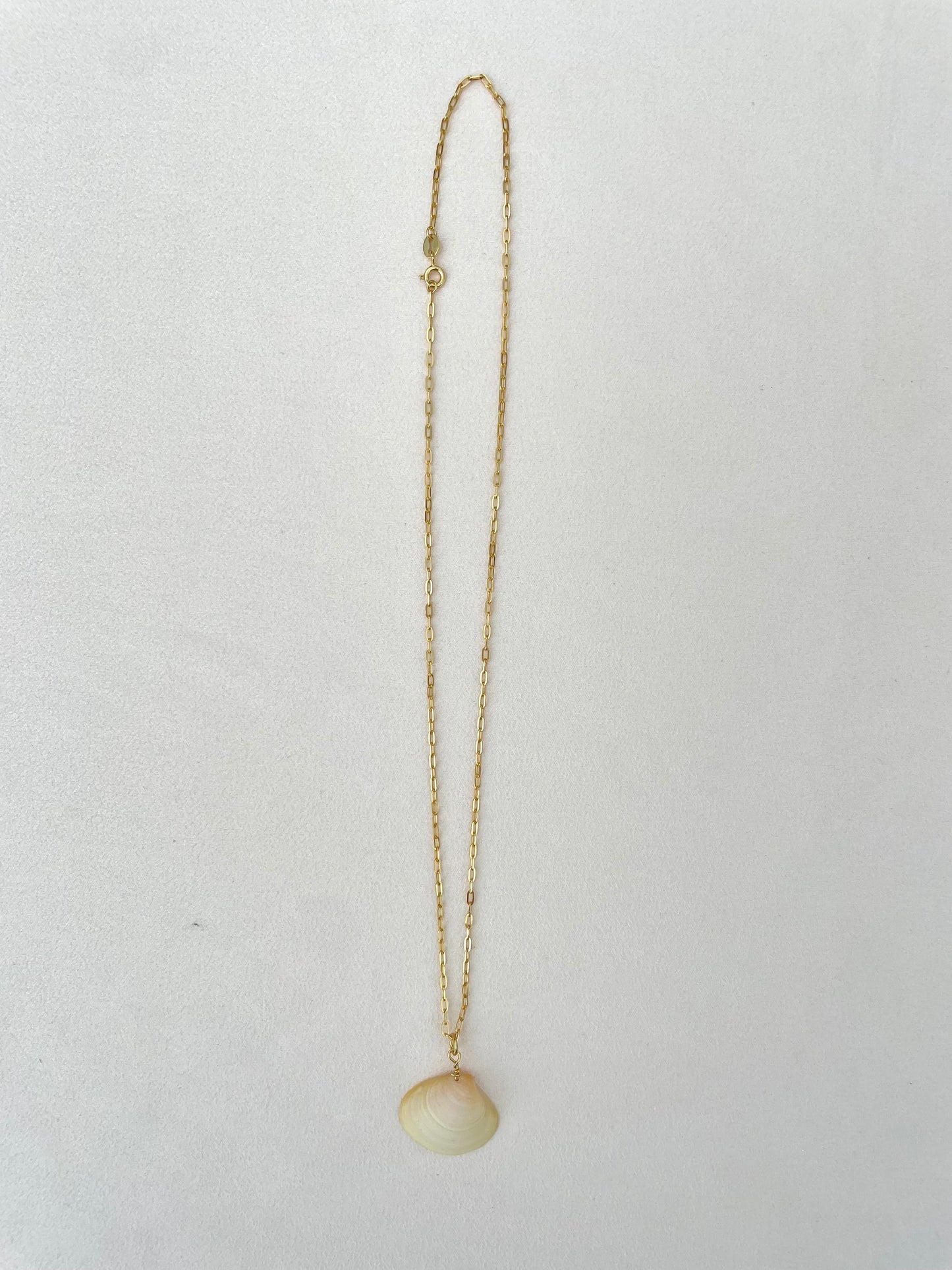 S925 chain with shell pendant necklace