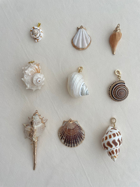 Charm collection (shells)