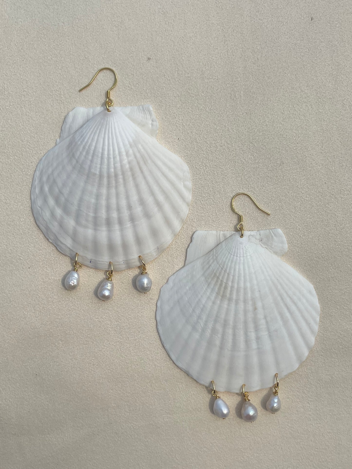 Natural shell tassel earrings