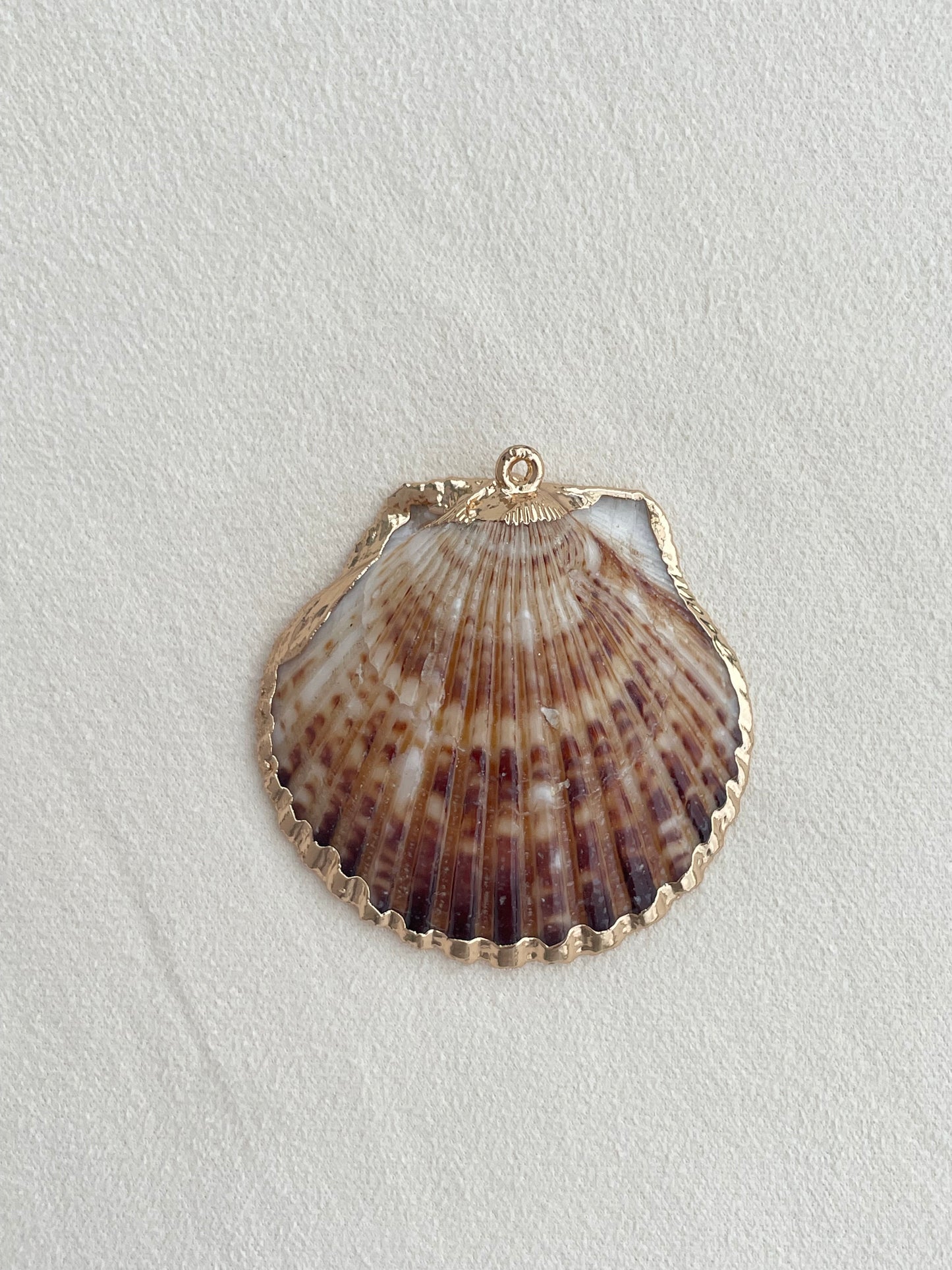 Charm collection (shells)