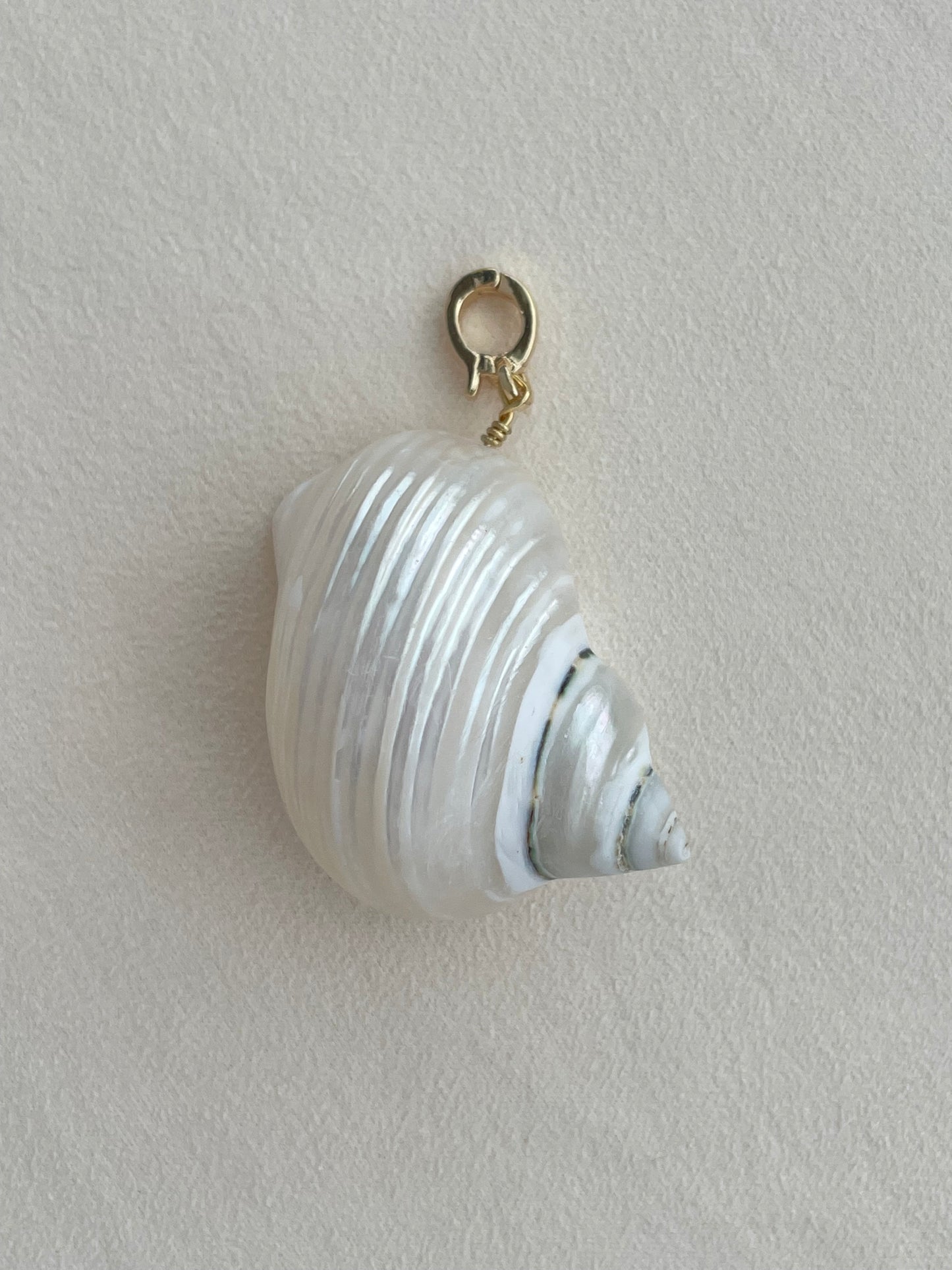 Charm collection (shells)