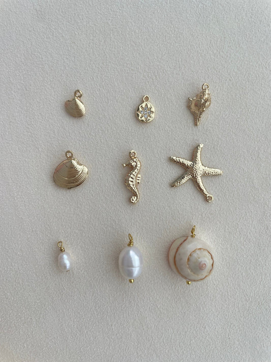 HCM Charms
