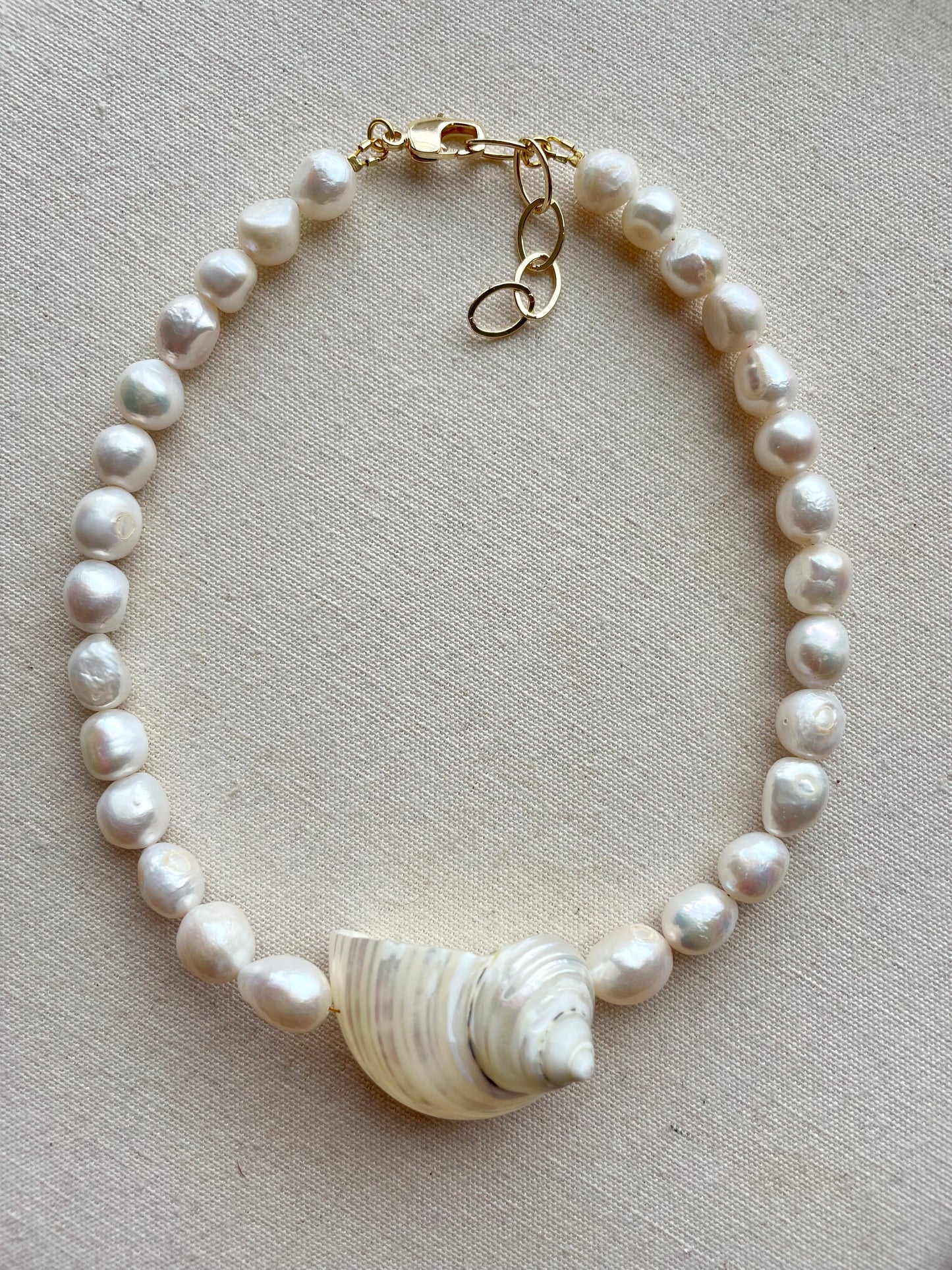 Turbo shell 10mm pearl chocker necklace