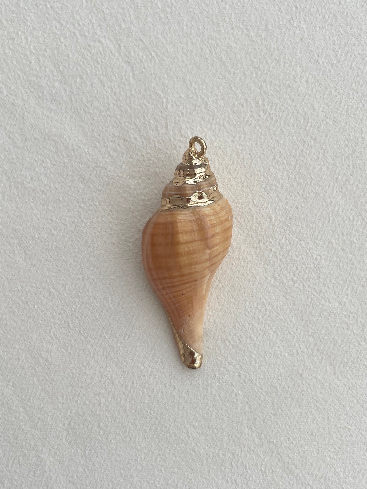 Charm collection (shells)