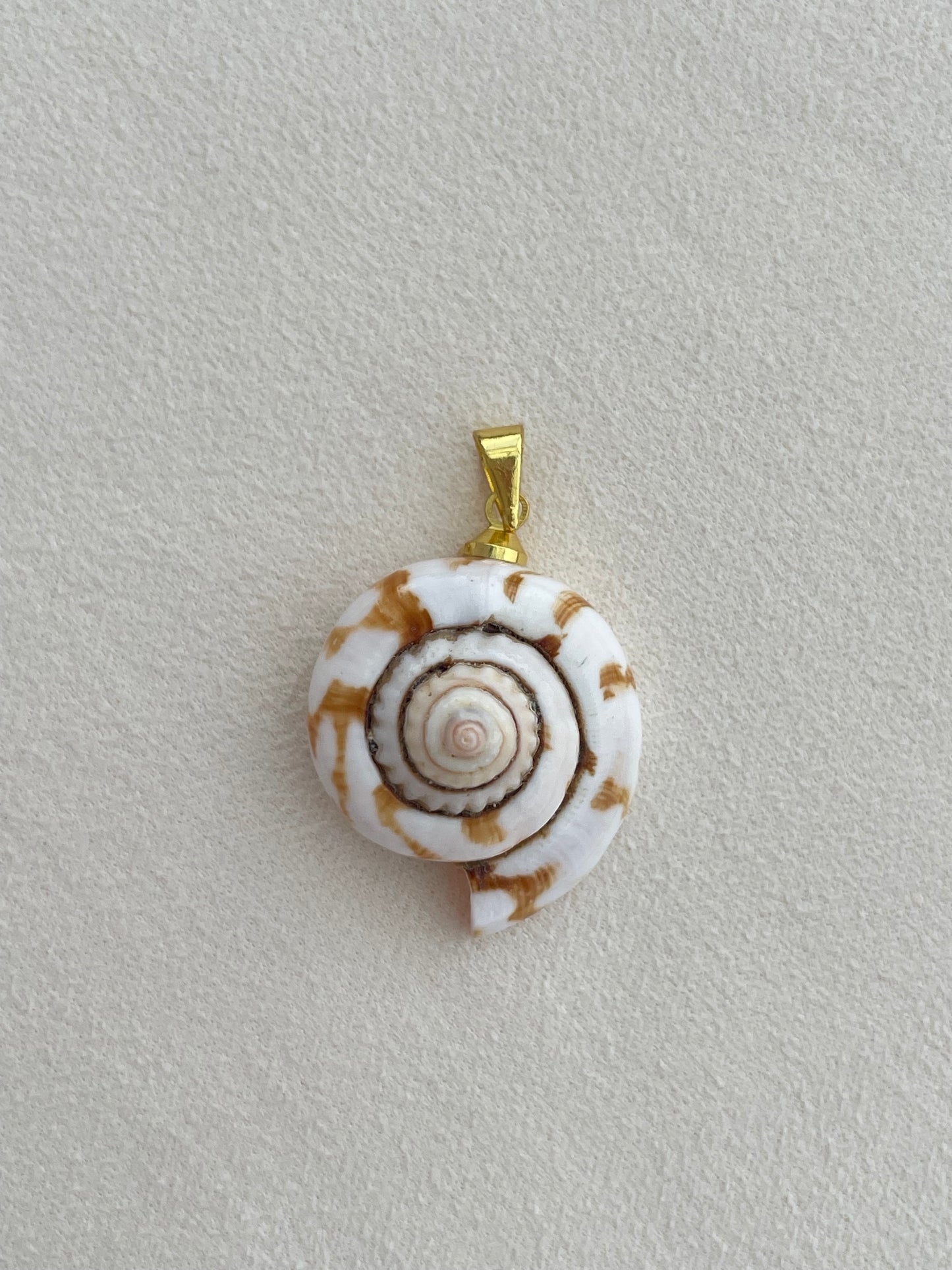 Charm collection (shells)