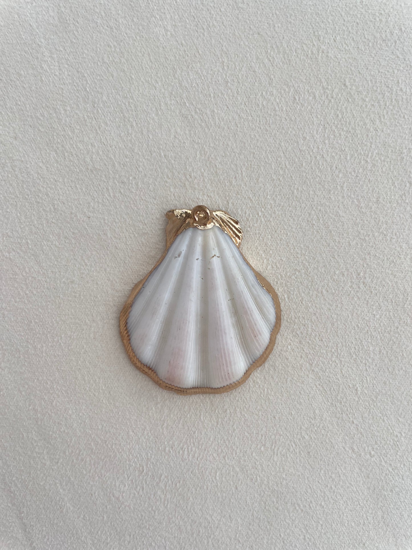 Charm collection (shells)