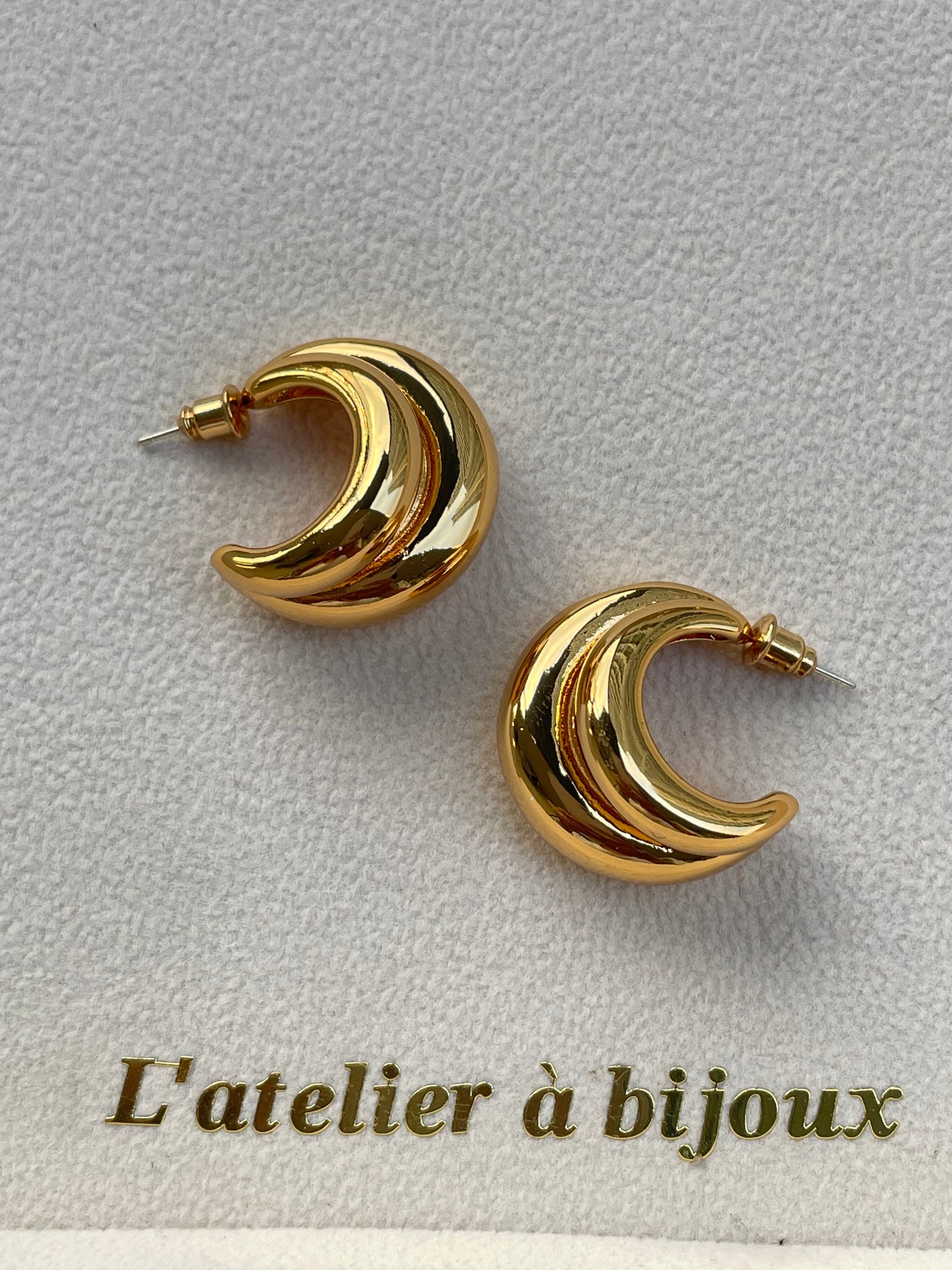 Laiggie earrings